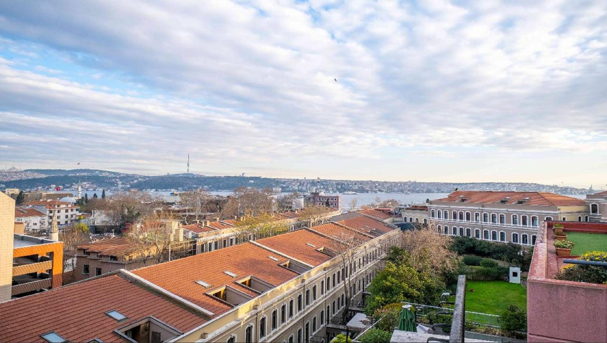 King Besiktas Provincia di Istanbul